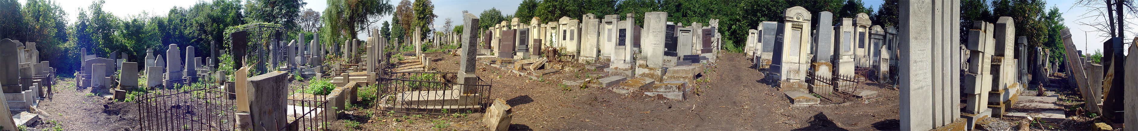Czernowitz Jewish cemetery