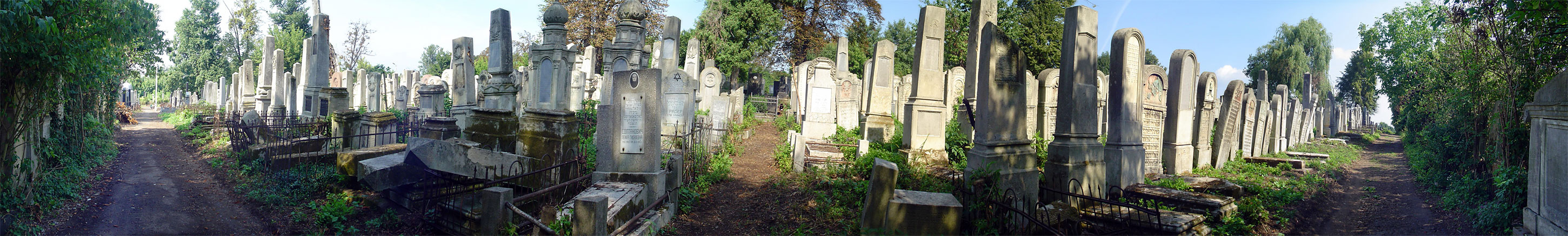 Czernowitz Jewish cemetery